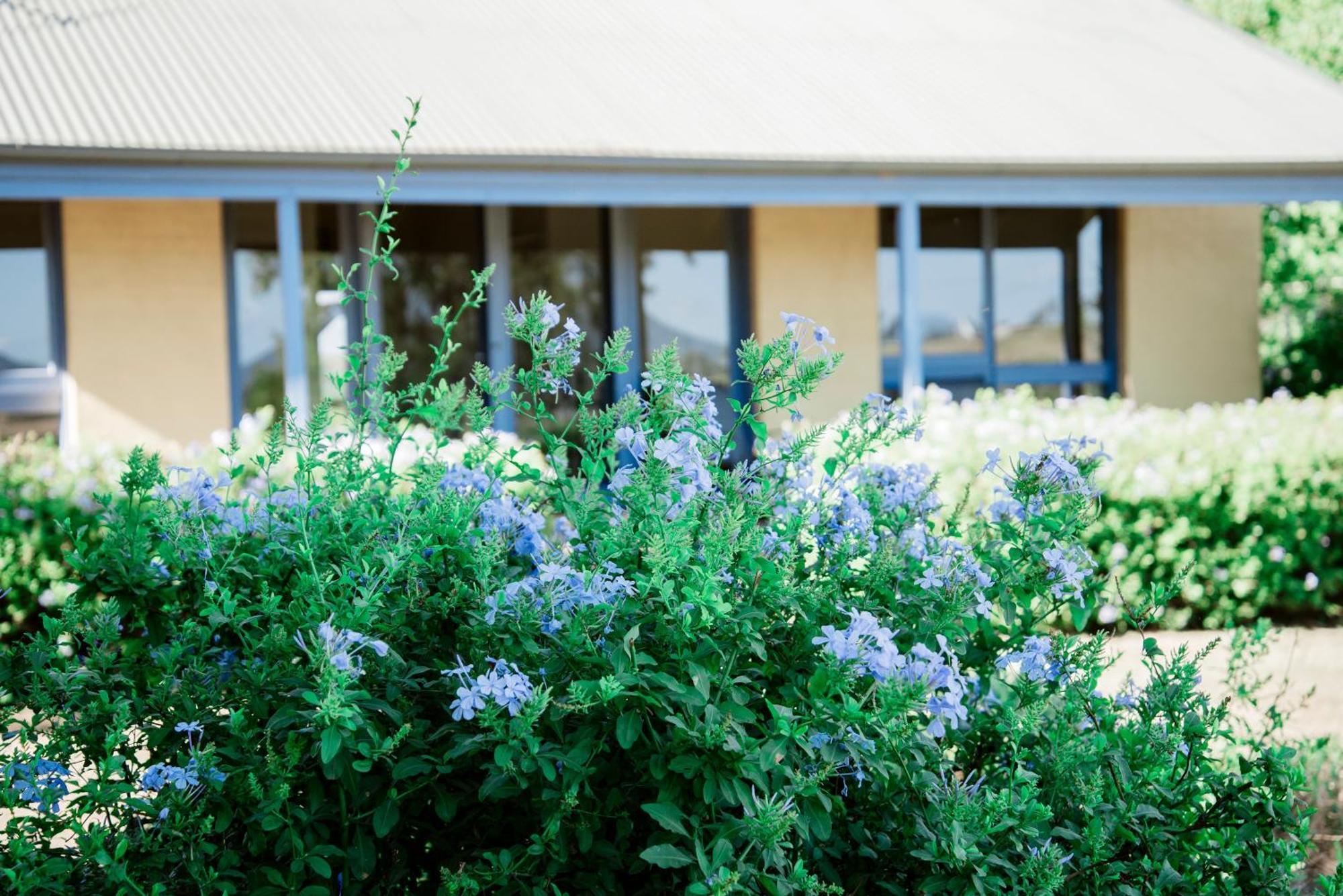 Tranquil Vale Vineyard Hotell Luskintyre Eksteriør bilde