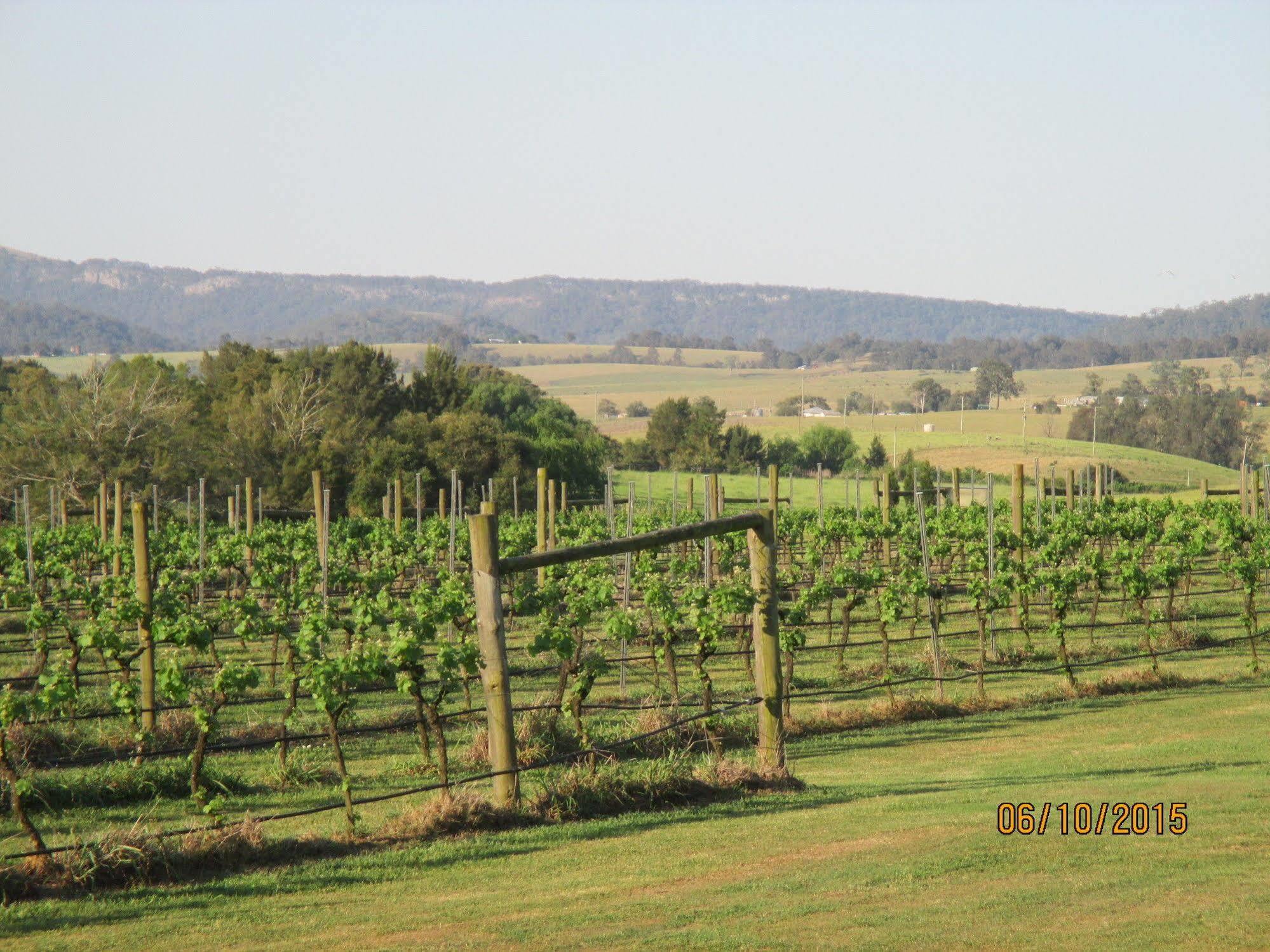 Tranquil Vale Vineyard Hotell Luskintyre Eksteriør bilde