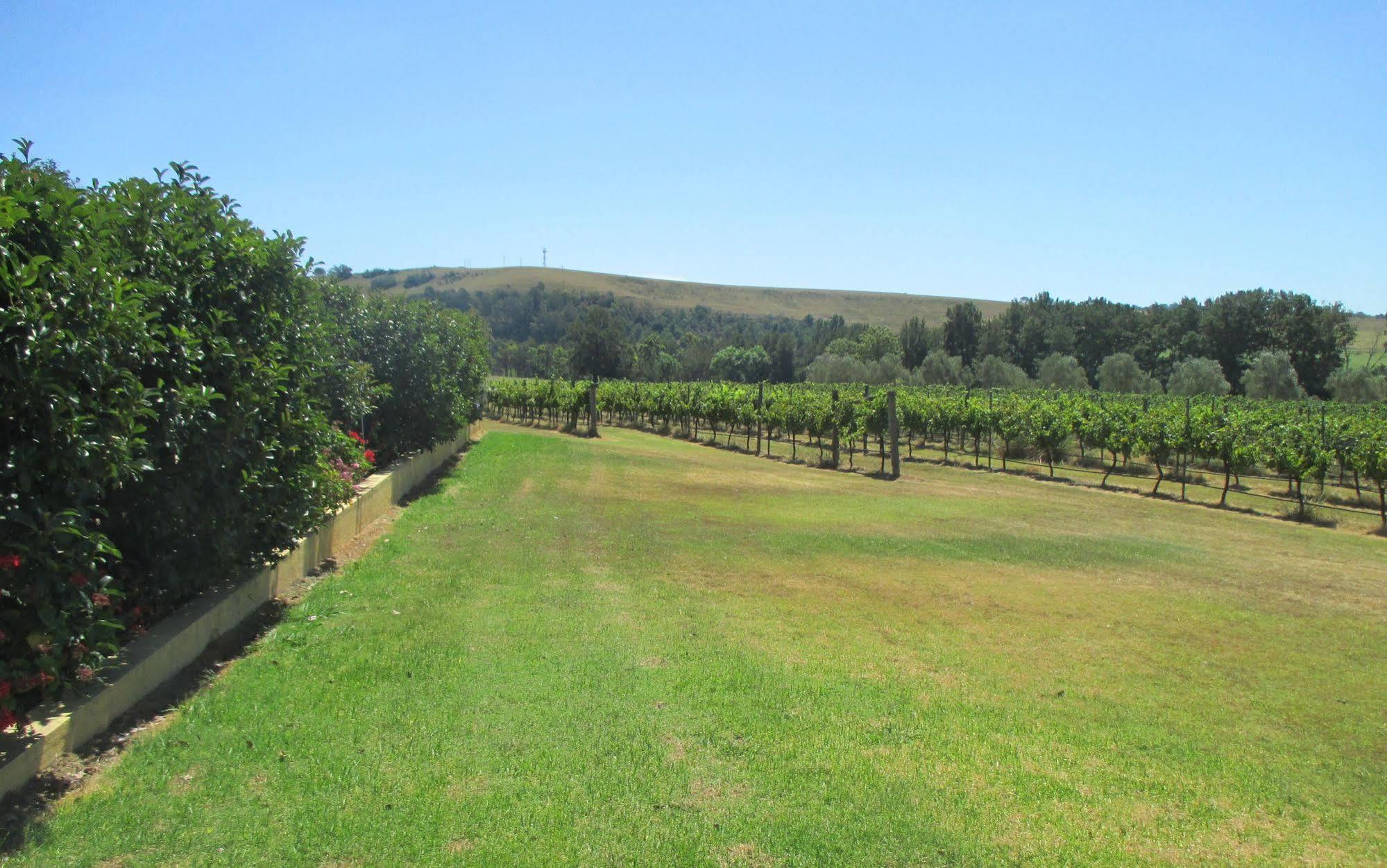 Tranquil Vale Vineyard Hotell Luskintyre Eksteriør bilde